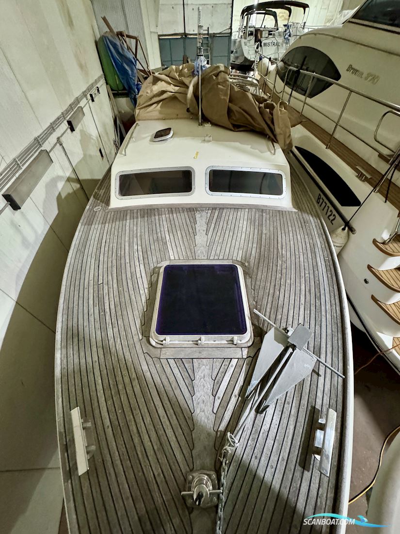 Levi 31 by Elephant Boat Yard