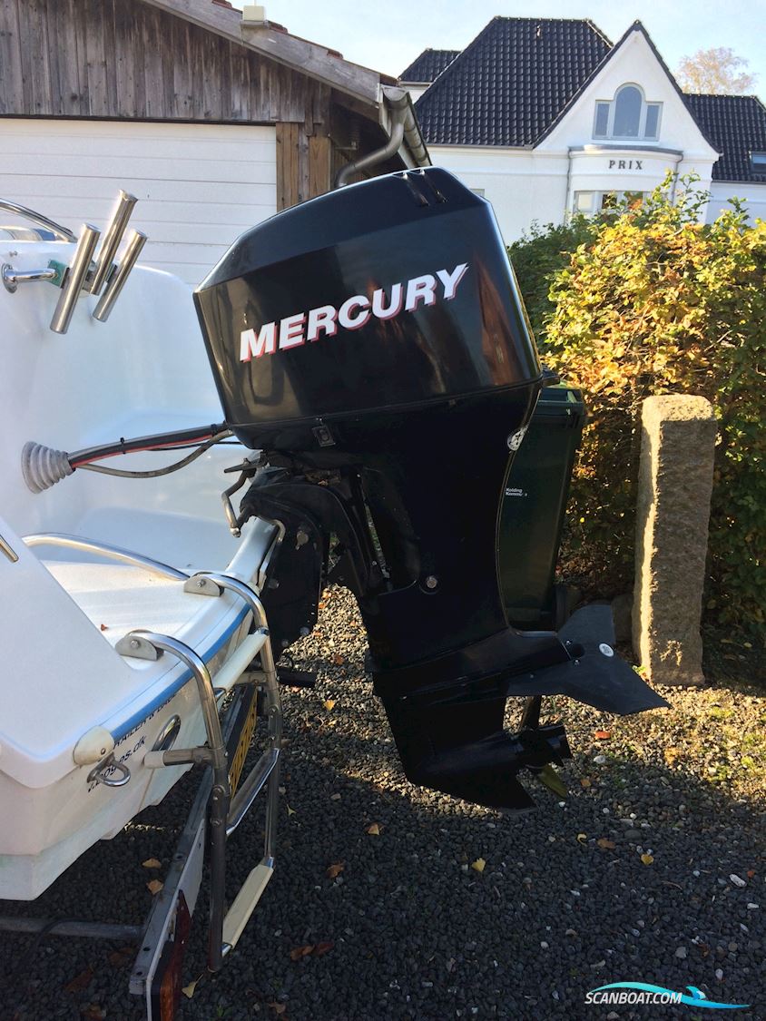 Ørnvik 500 Flamongo