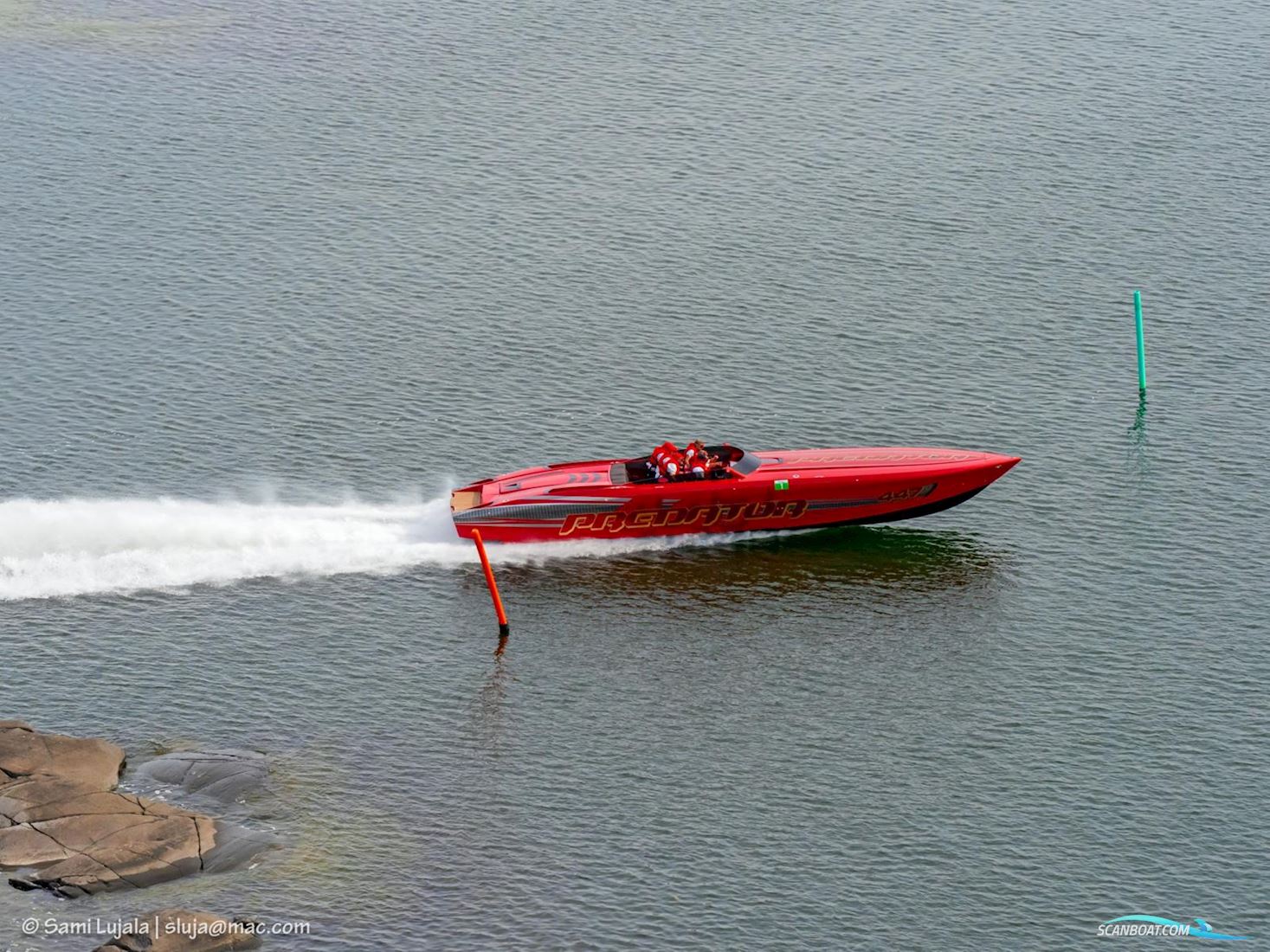 Predator 447
