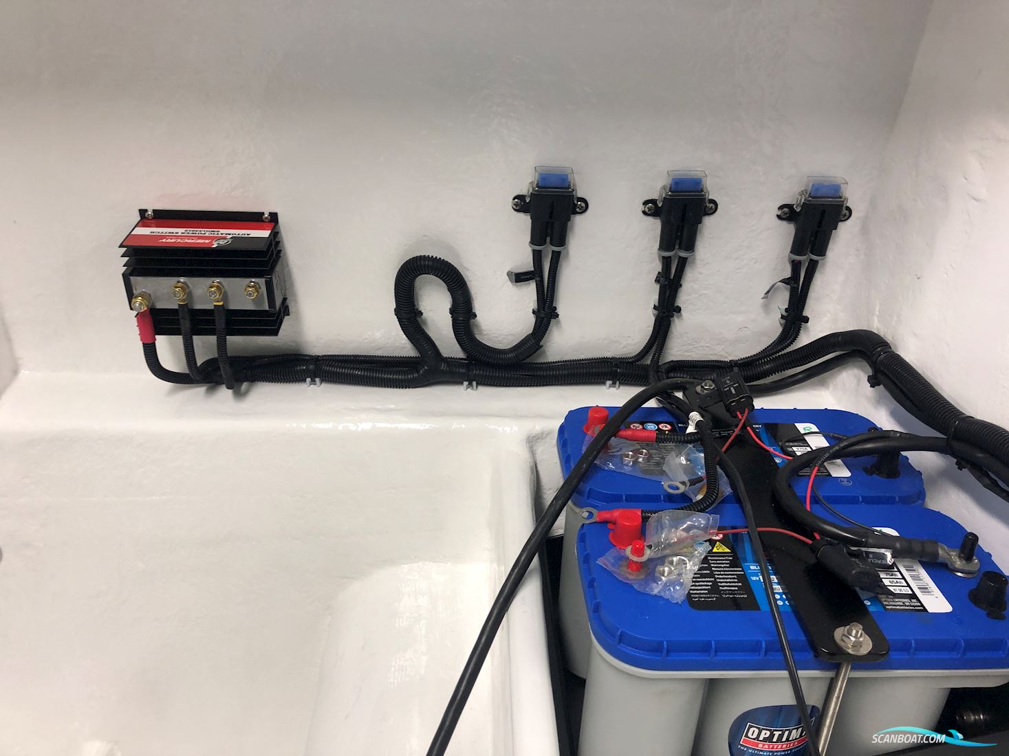 Predator/ Dough Wright