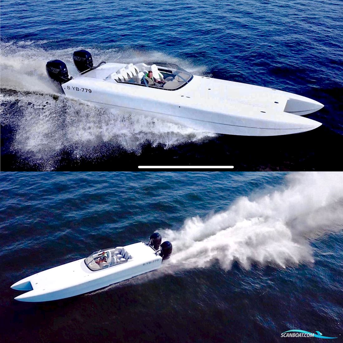 Predator/ Dough Wright