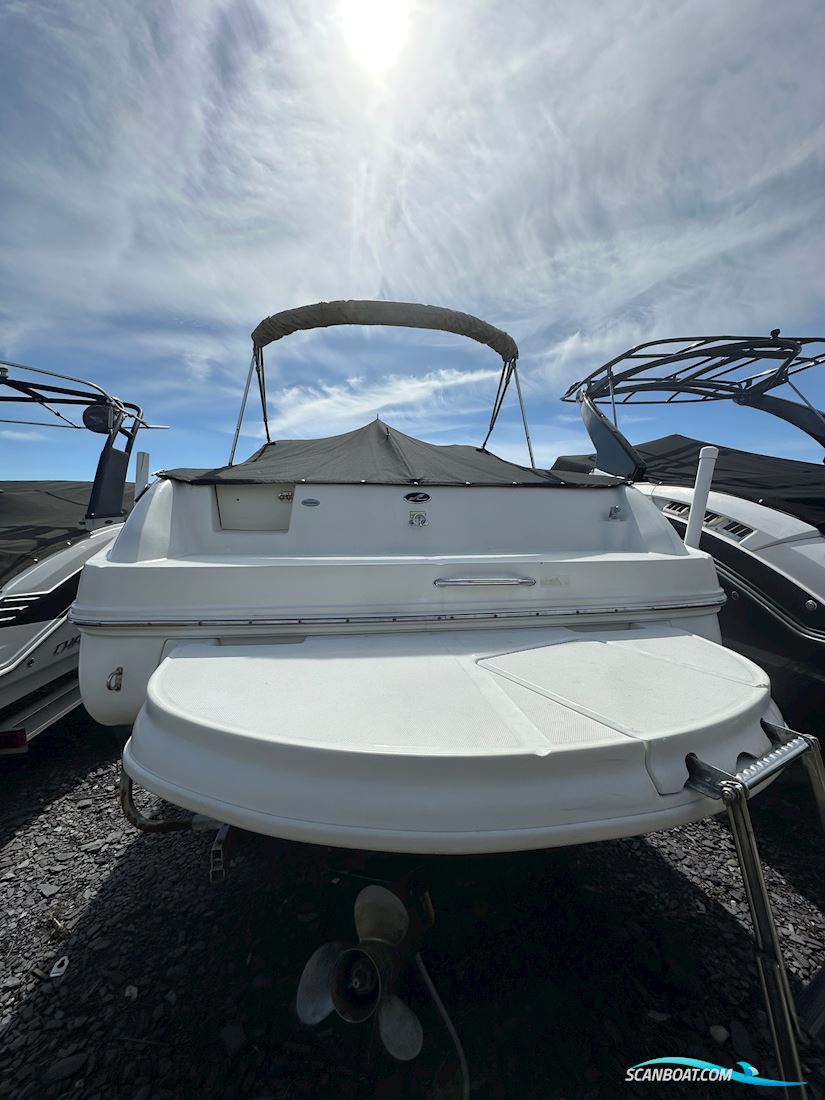 Sea Ray 225 weekender