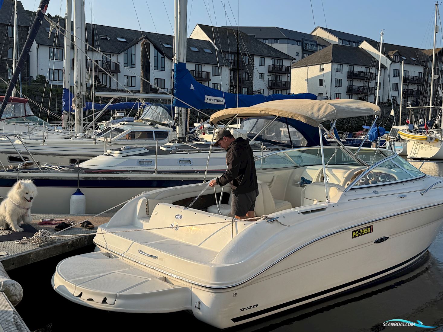 Sea Ray 225 weekender