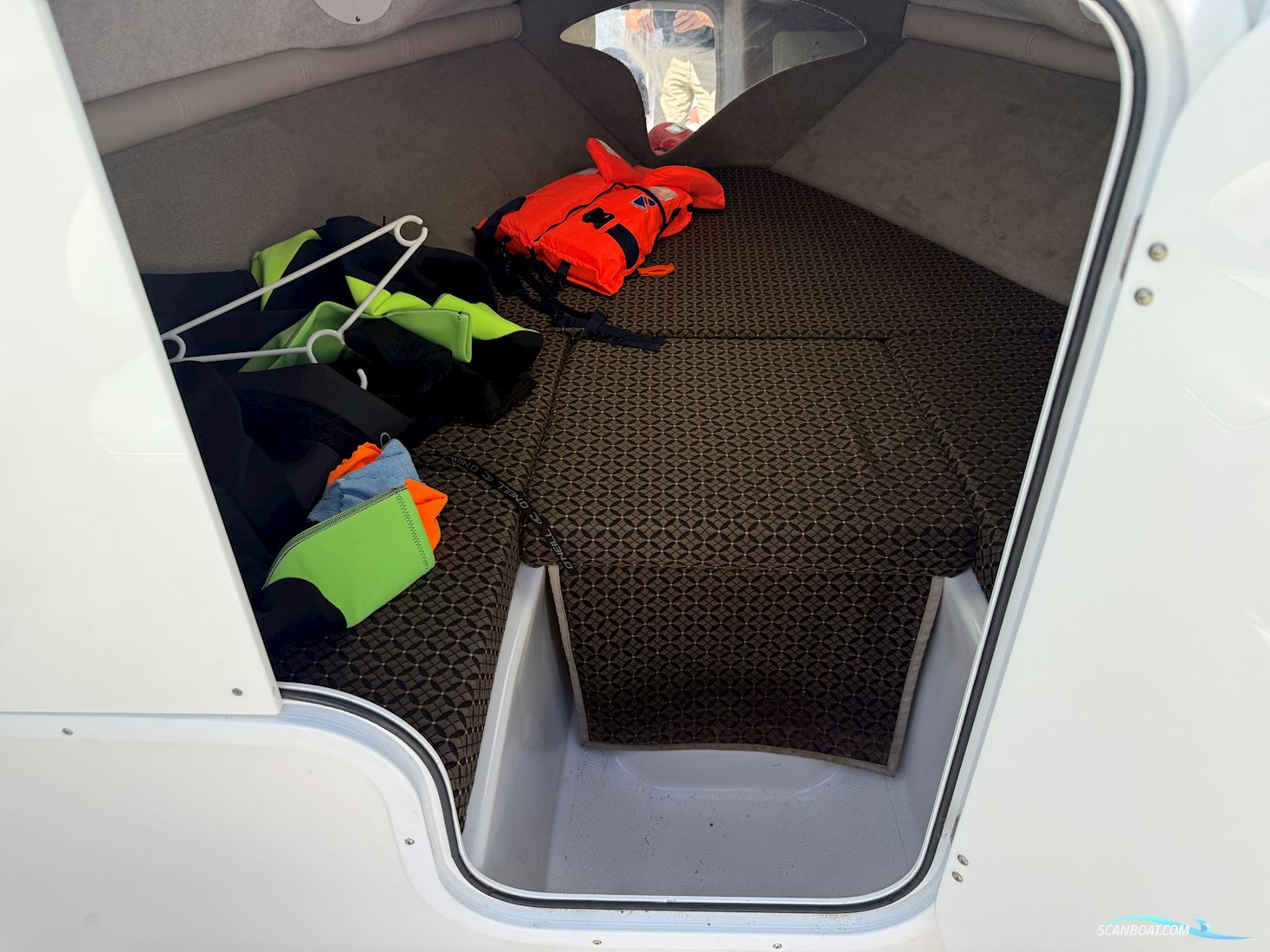 Campion Allante 595 sc