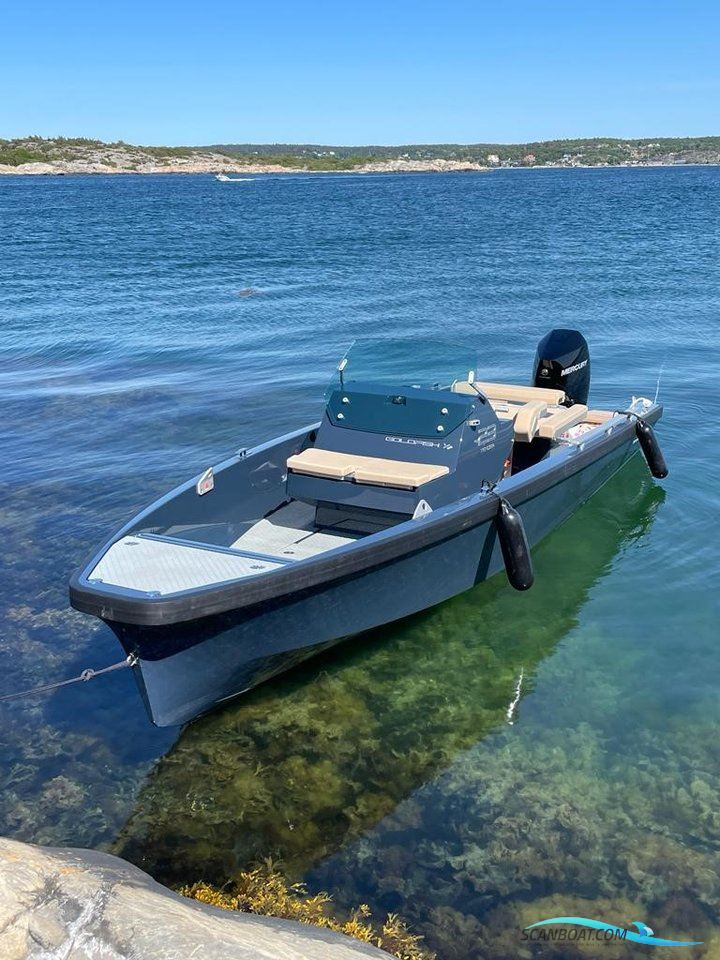 Goldfish 23 Tender Mercury V8 300hk