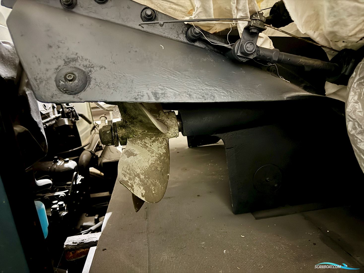 Levi 31 by Elephant Boat Yard