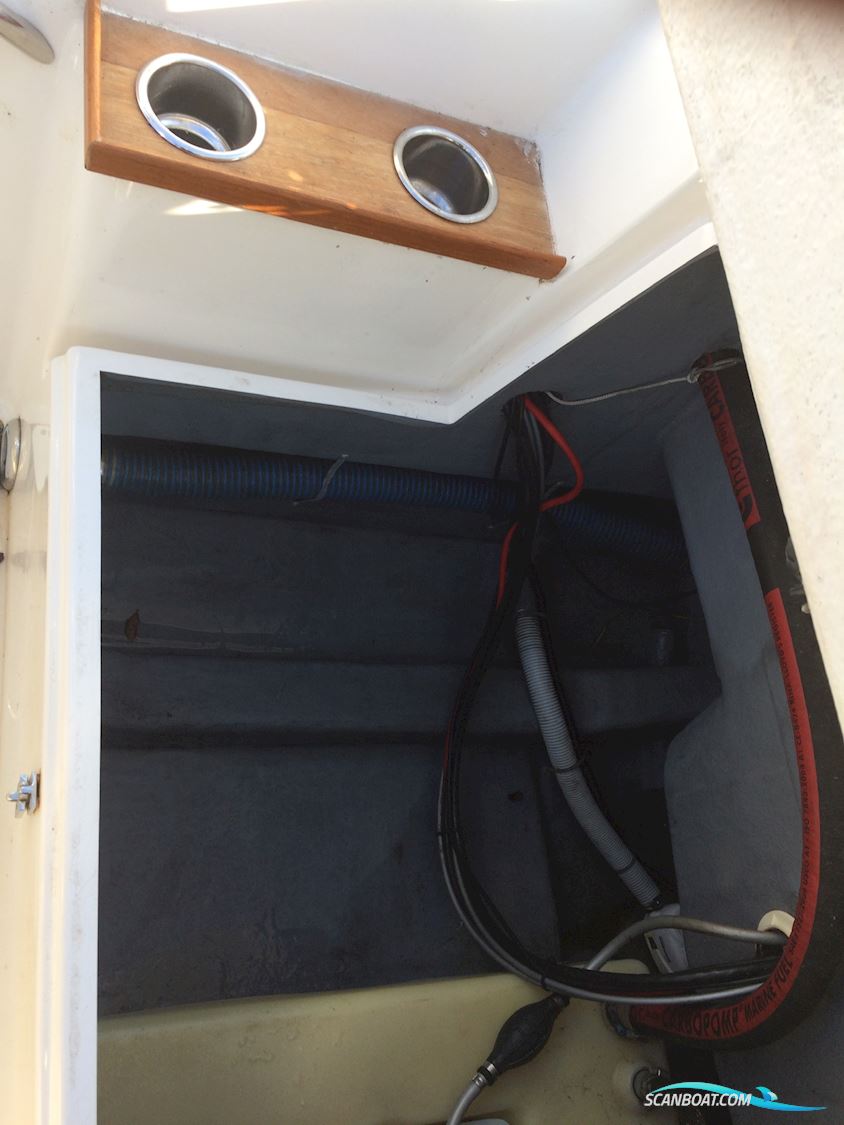 Ørnvik 500 Flamongo