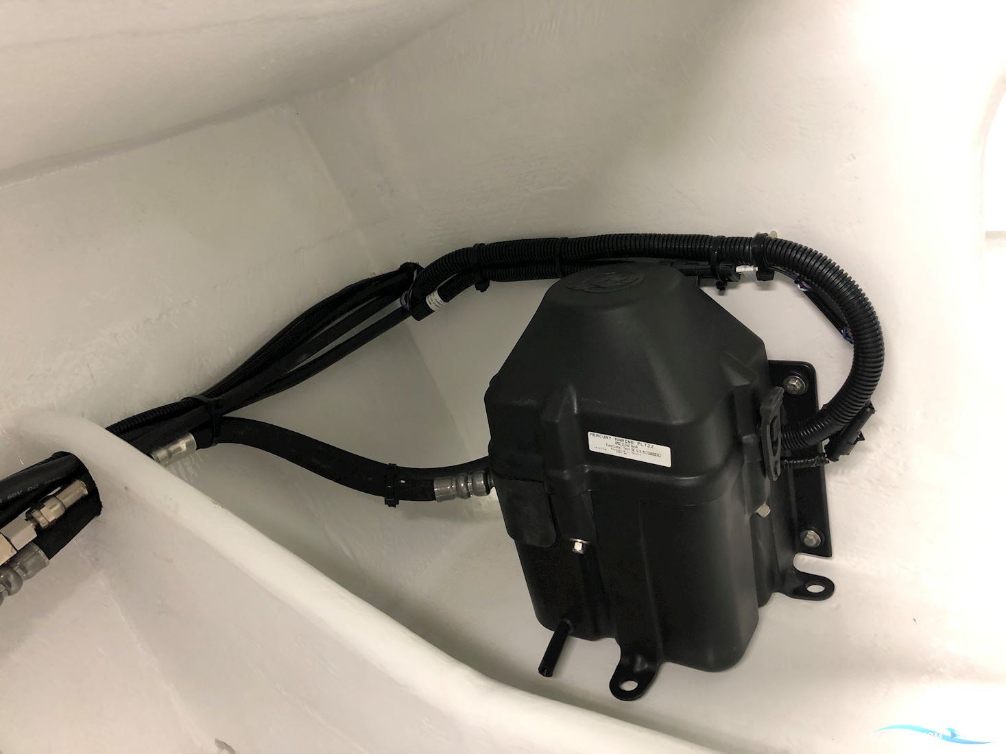 Predator/ Dough Wright