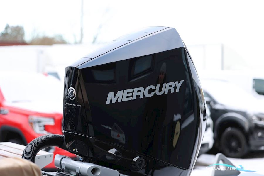 Goldfish 23 Tender Mercury V8 300hk