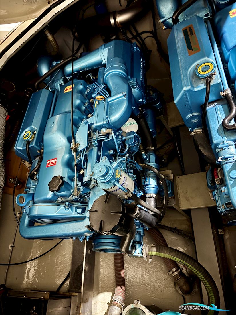 Levi 31 by Elephant Boat Yard