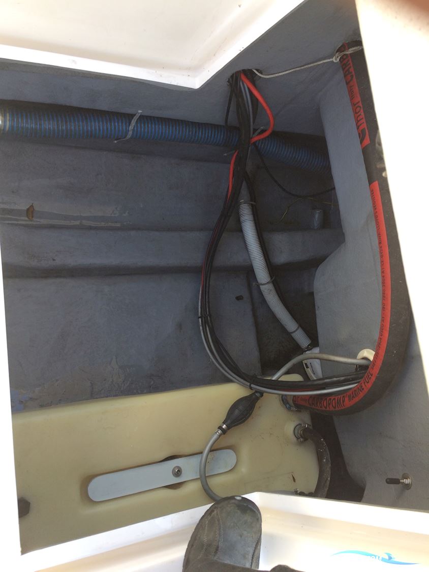 Ørnvik 500 Flamongo