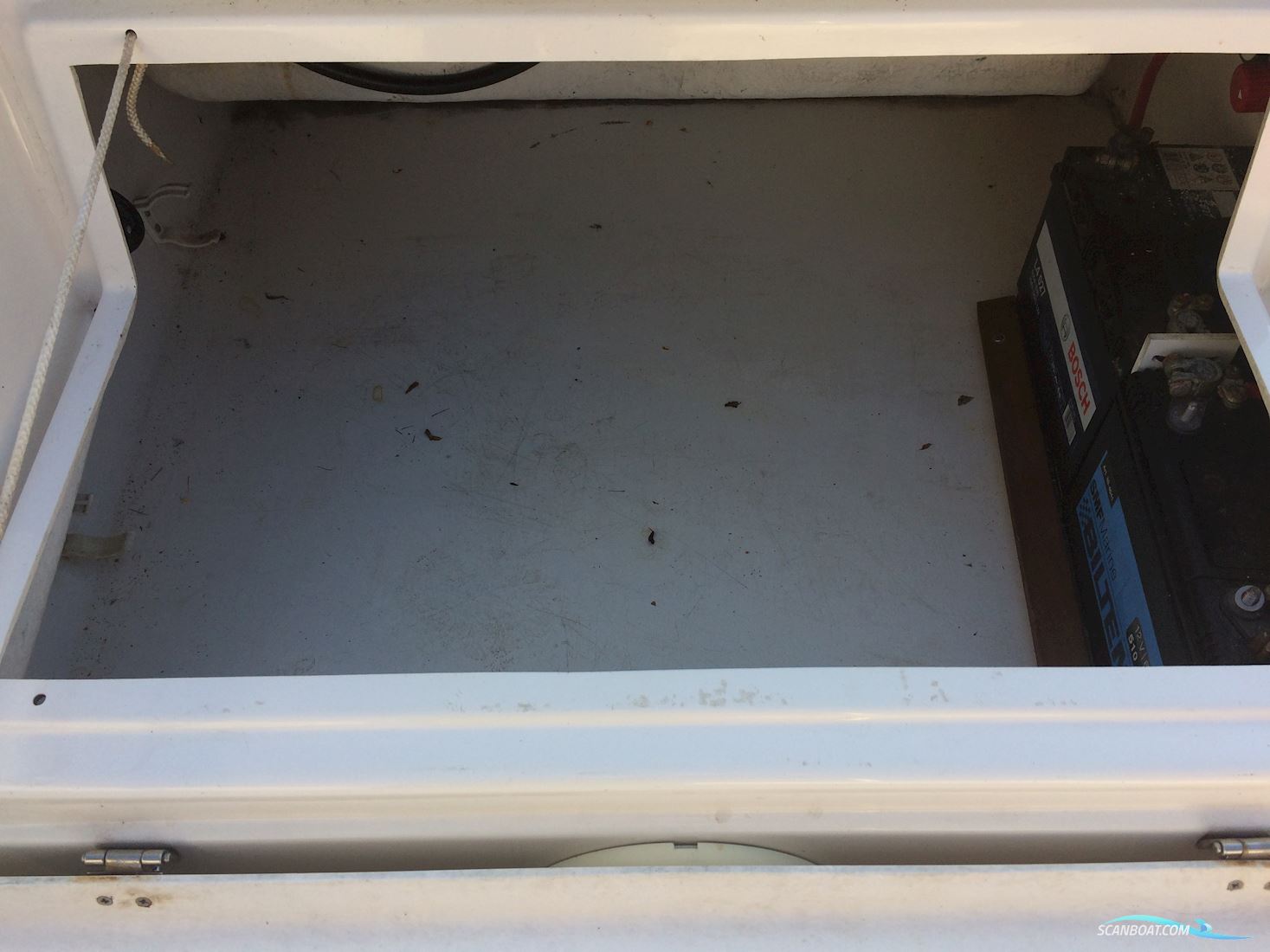 Ørnvik 500 Flamongo