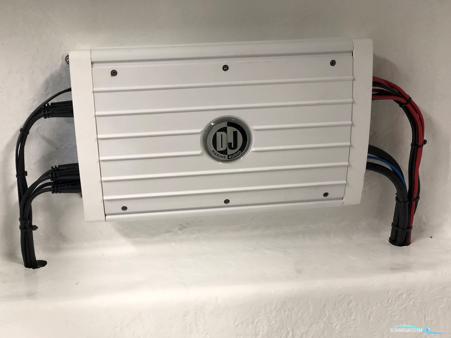 Predator/ Dough Wright 