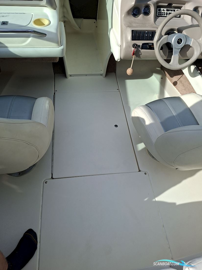 Sea ray 190 Signature