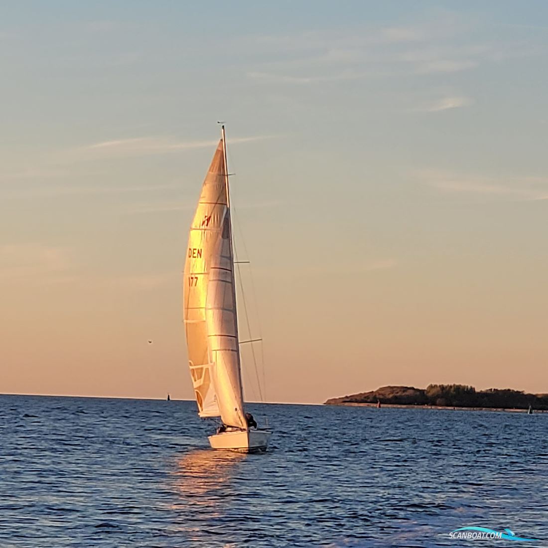 11 metre one design