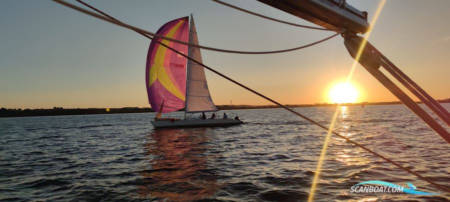 11 metre one design
