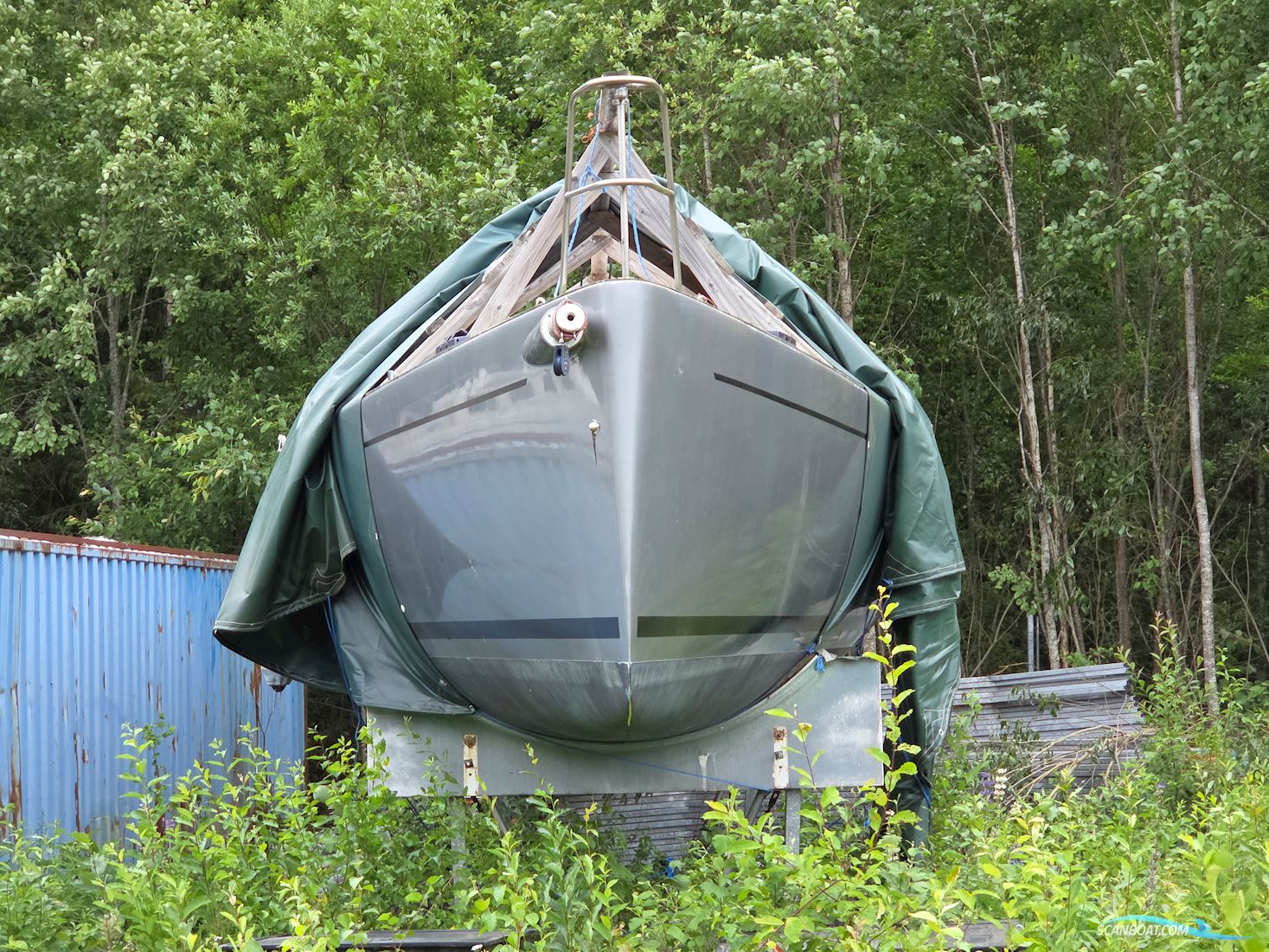 Aerodyne 38 Nordic