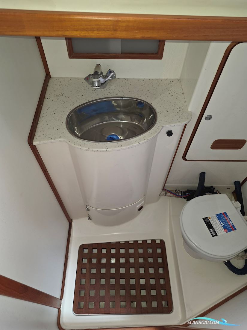 Aerodyne 38 Nordic
