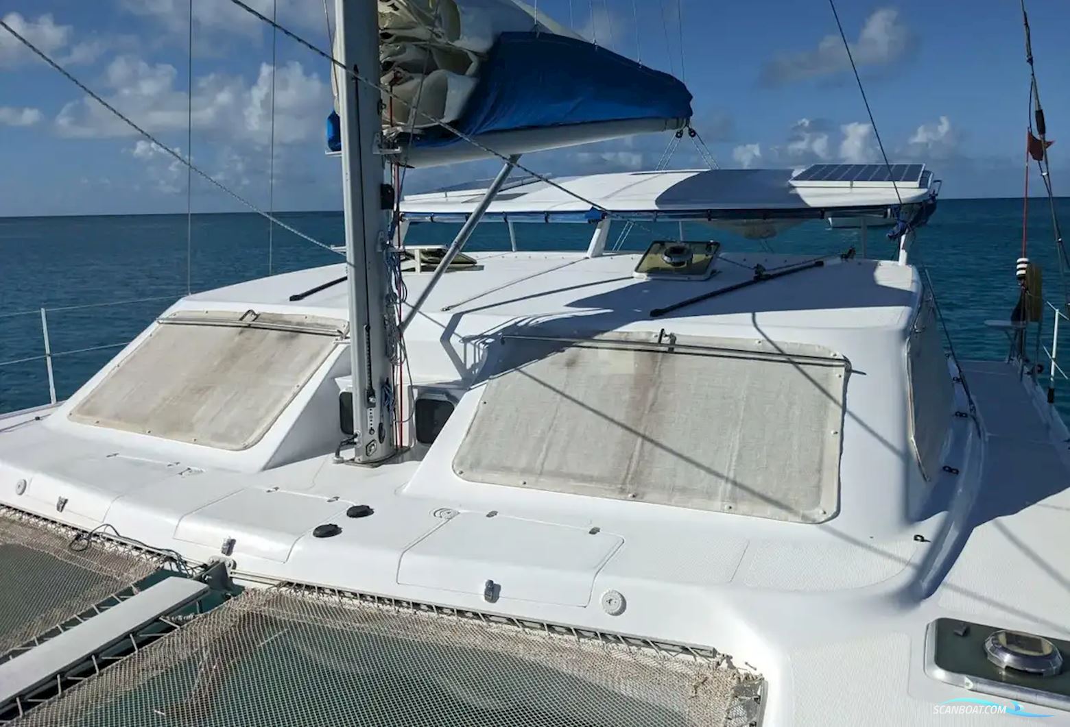 African Cats Fast Cat 435