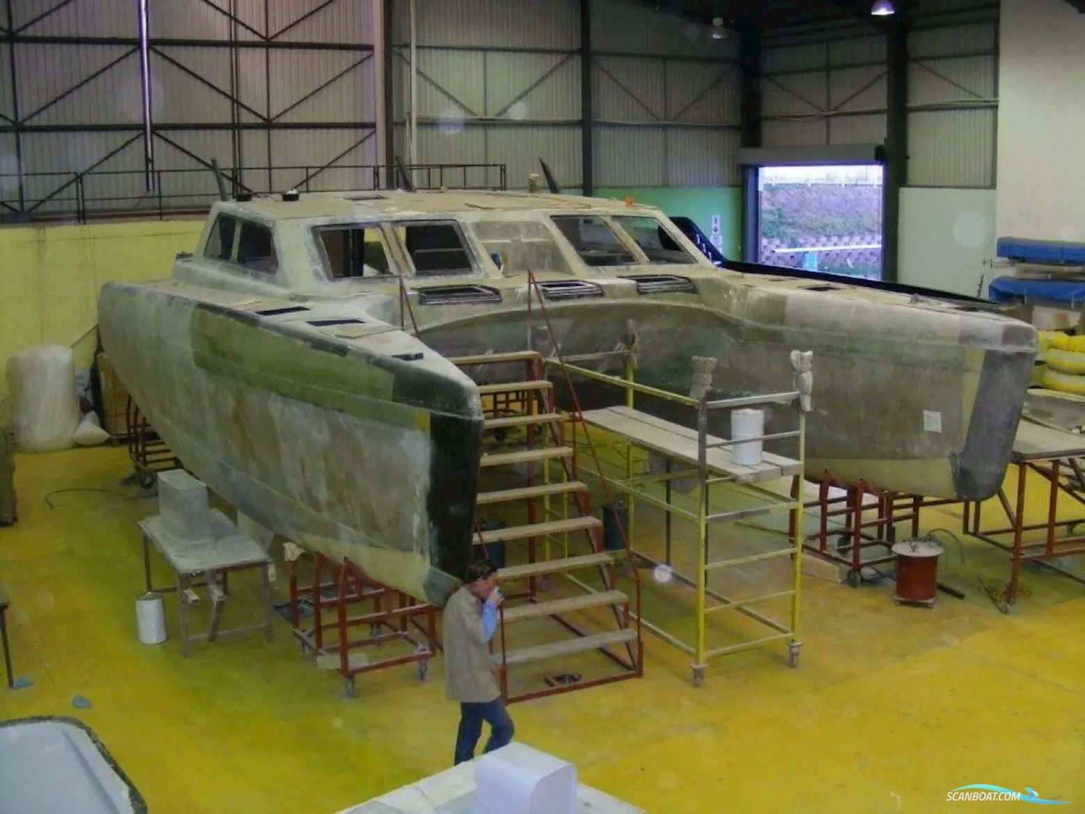 African Cats Fast Cat 435