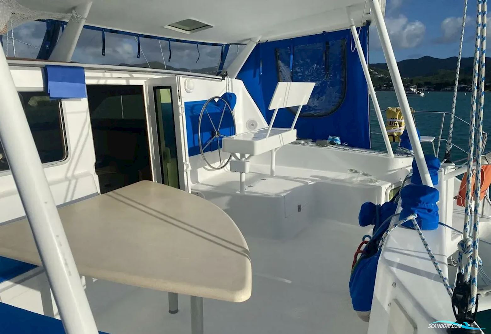 African Cats Fast Cat 435