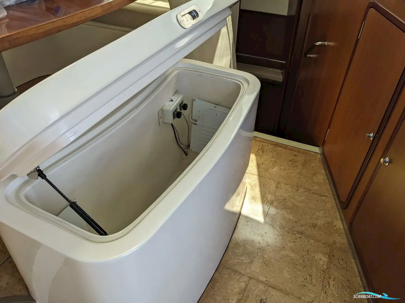 African Cats Fast Cat 435