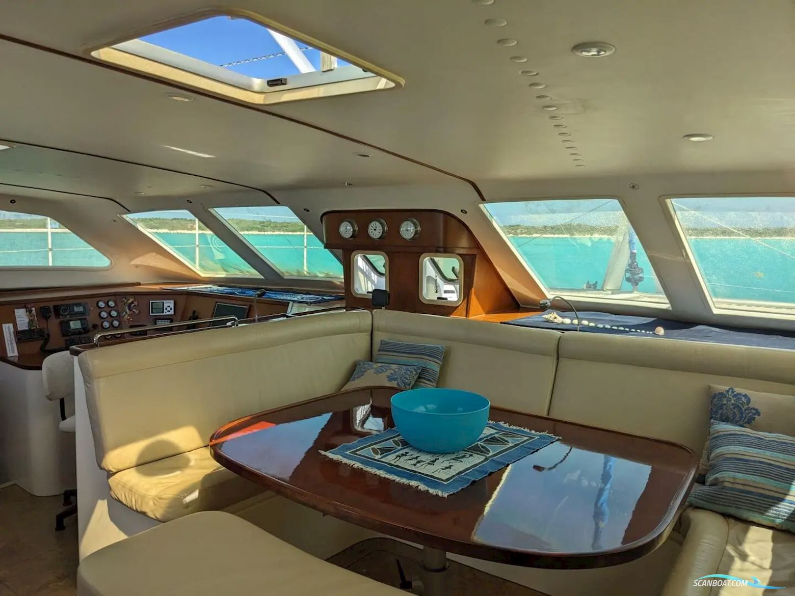 African Cats Fast Cat 435