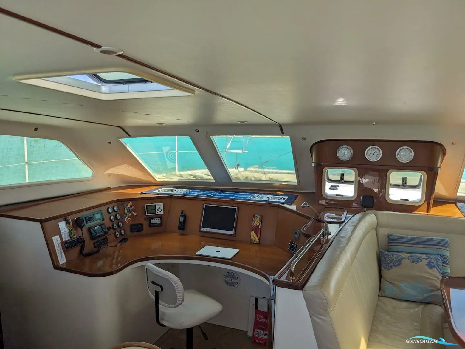 African Cats Fast Cat 435