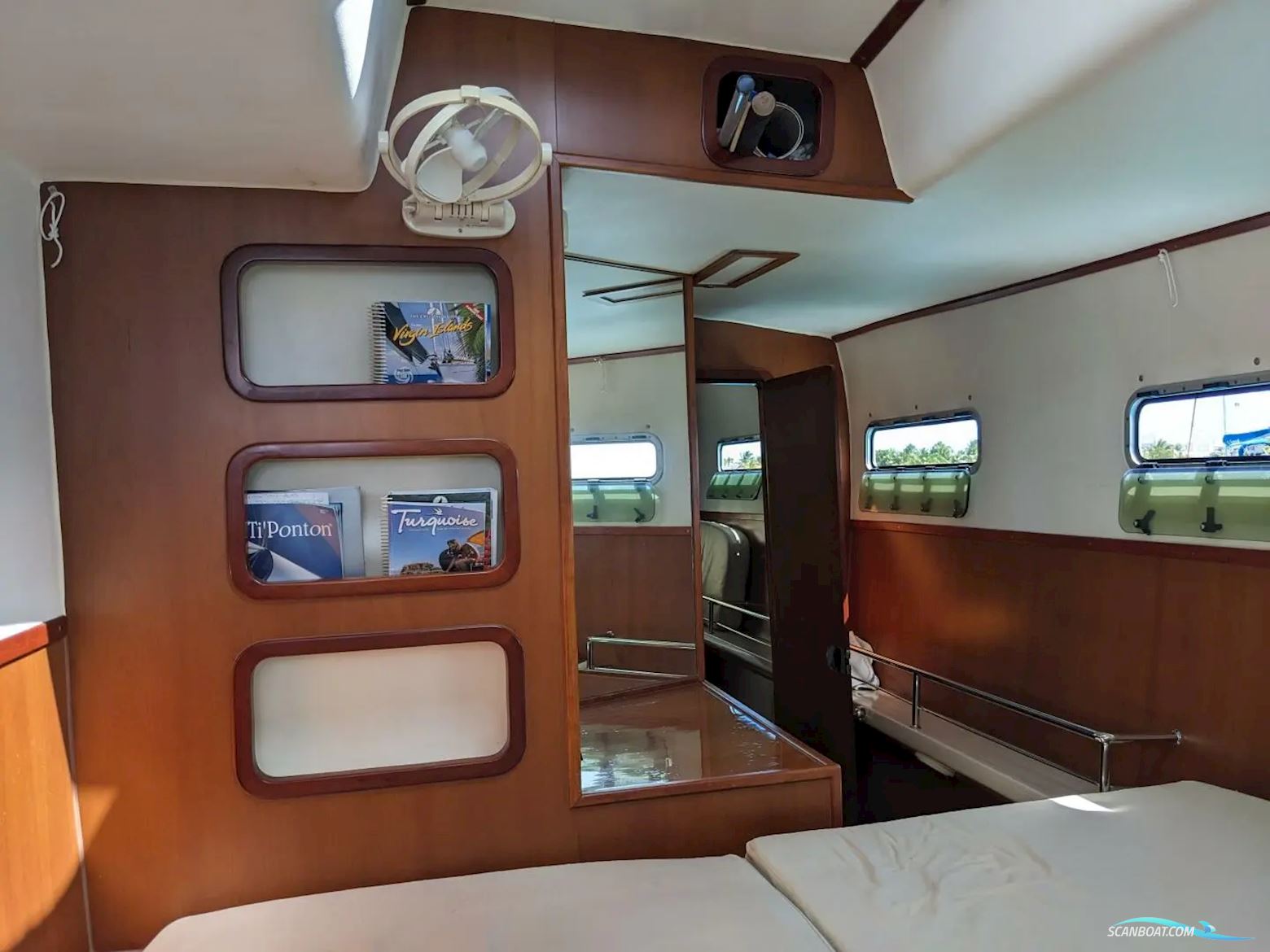 African Cats Fast Cat 435