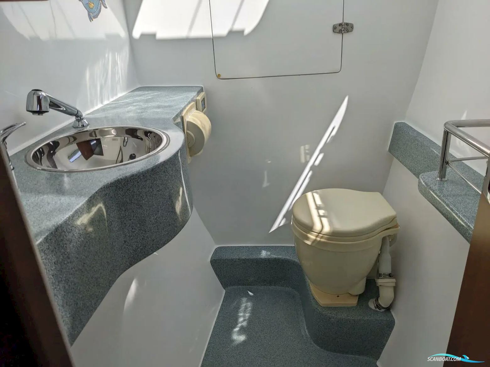 African Cats Fast Cat 435