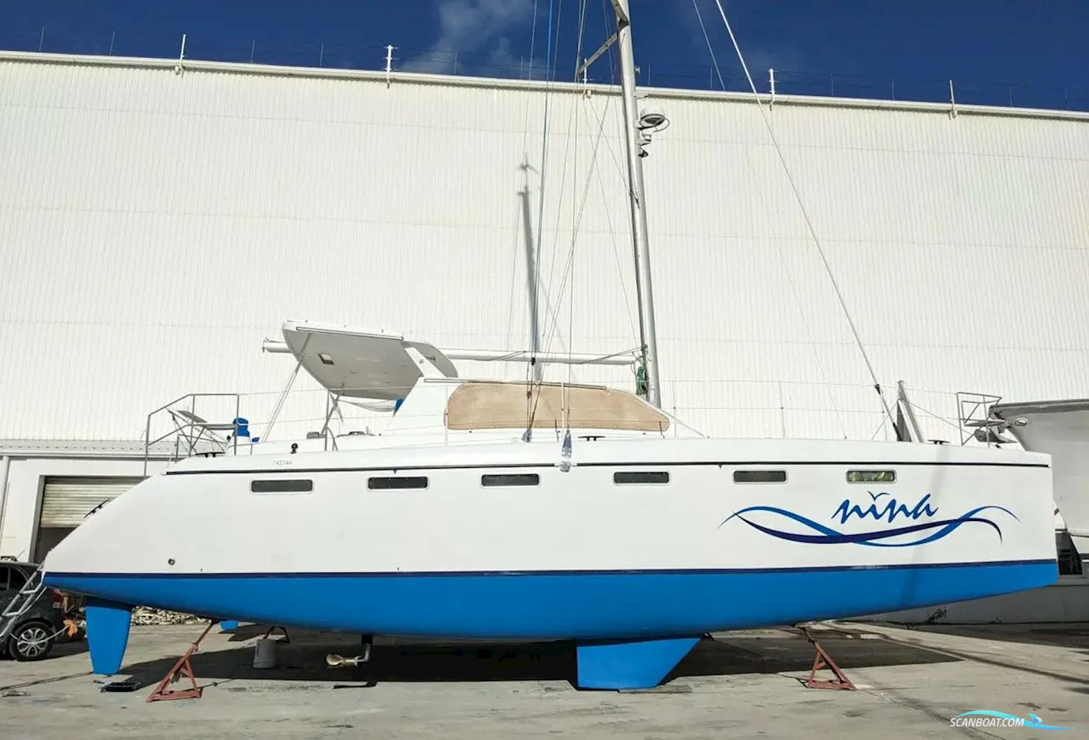 African Cats Fast Cat 435