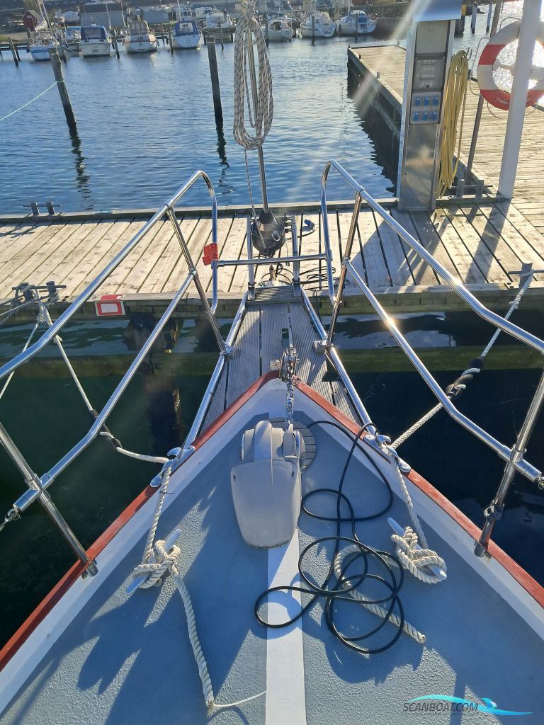 Albatros 33-Bud Modtages