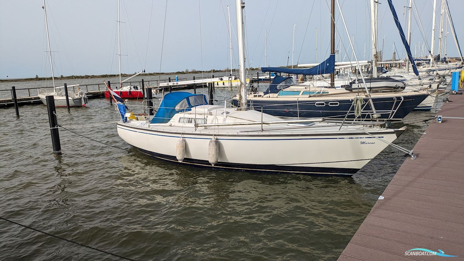 Albin Cumulus 85