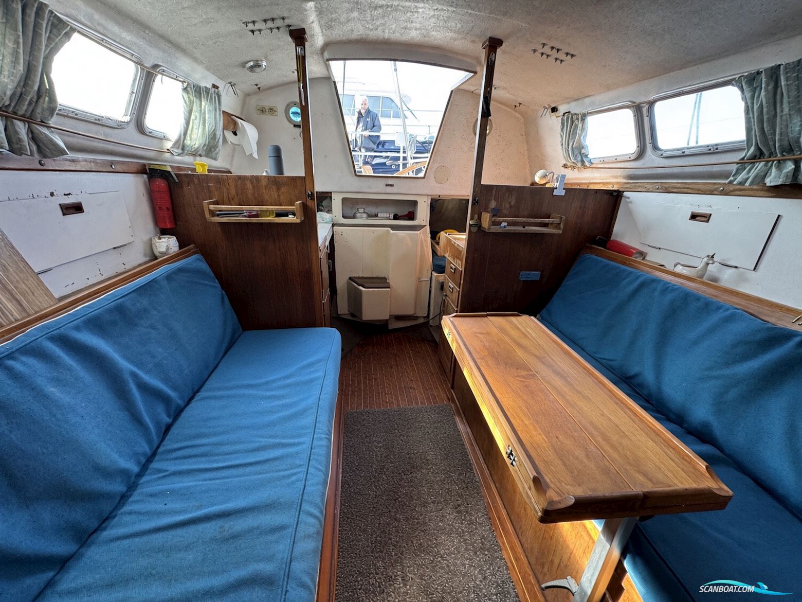 Albin Scampi 30