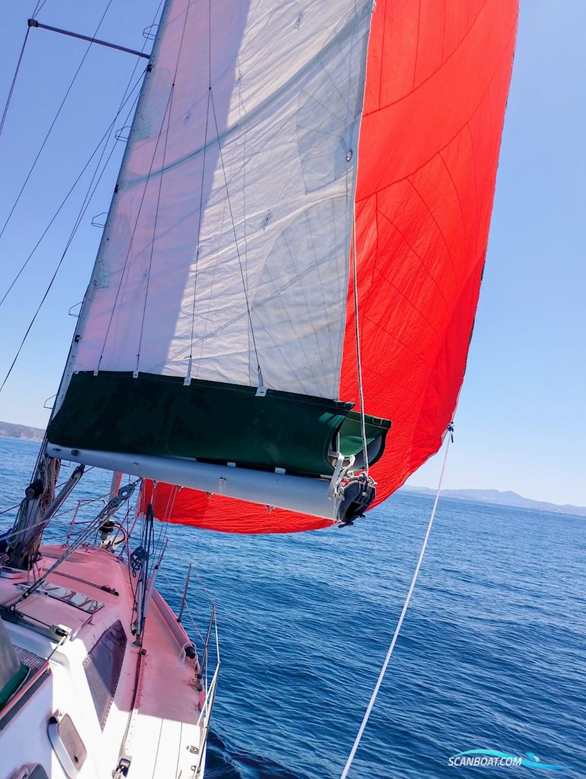 Alubat Sonate Ovni 36