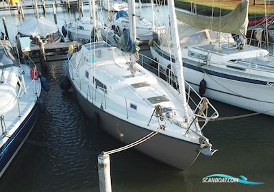 Amel Euros 42 Zeilboten 1978, met Volvo Penta D2-75F motor, The Netherlands