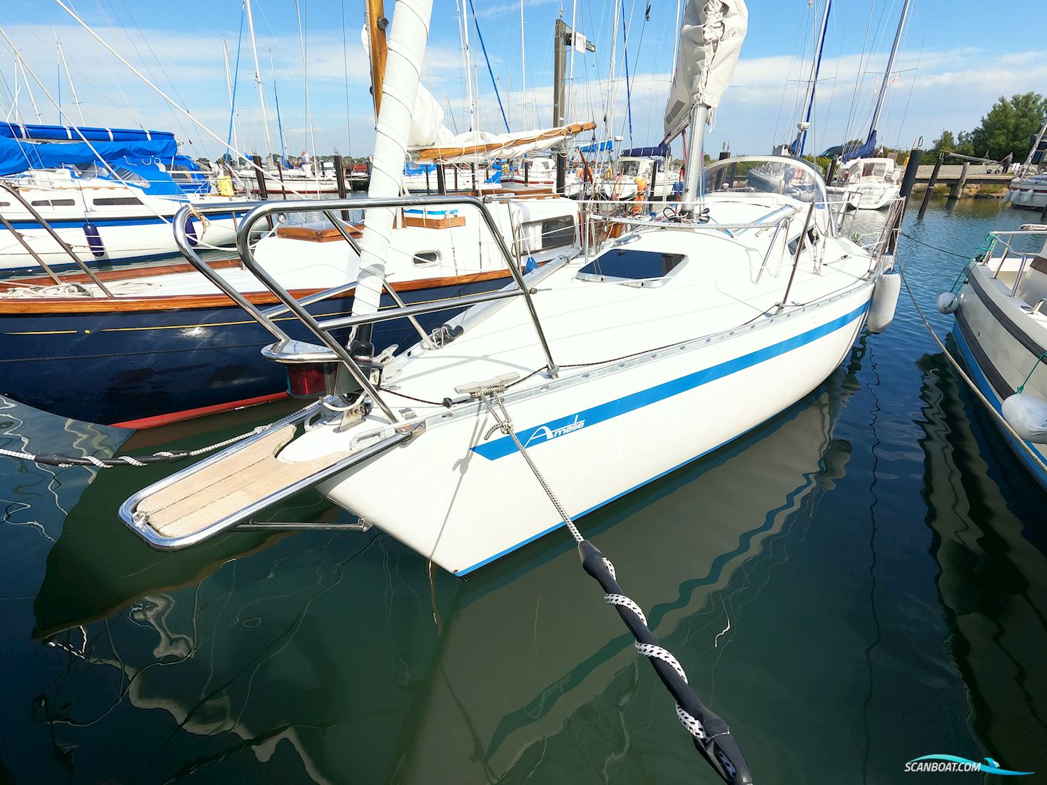 Aphrodite 29