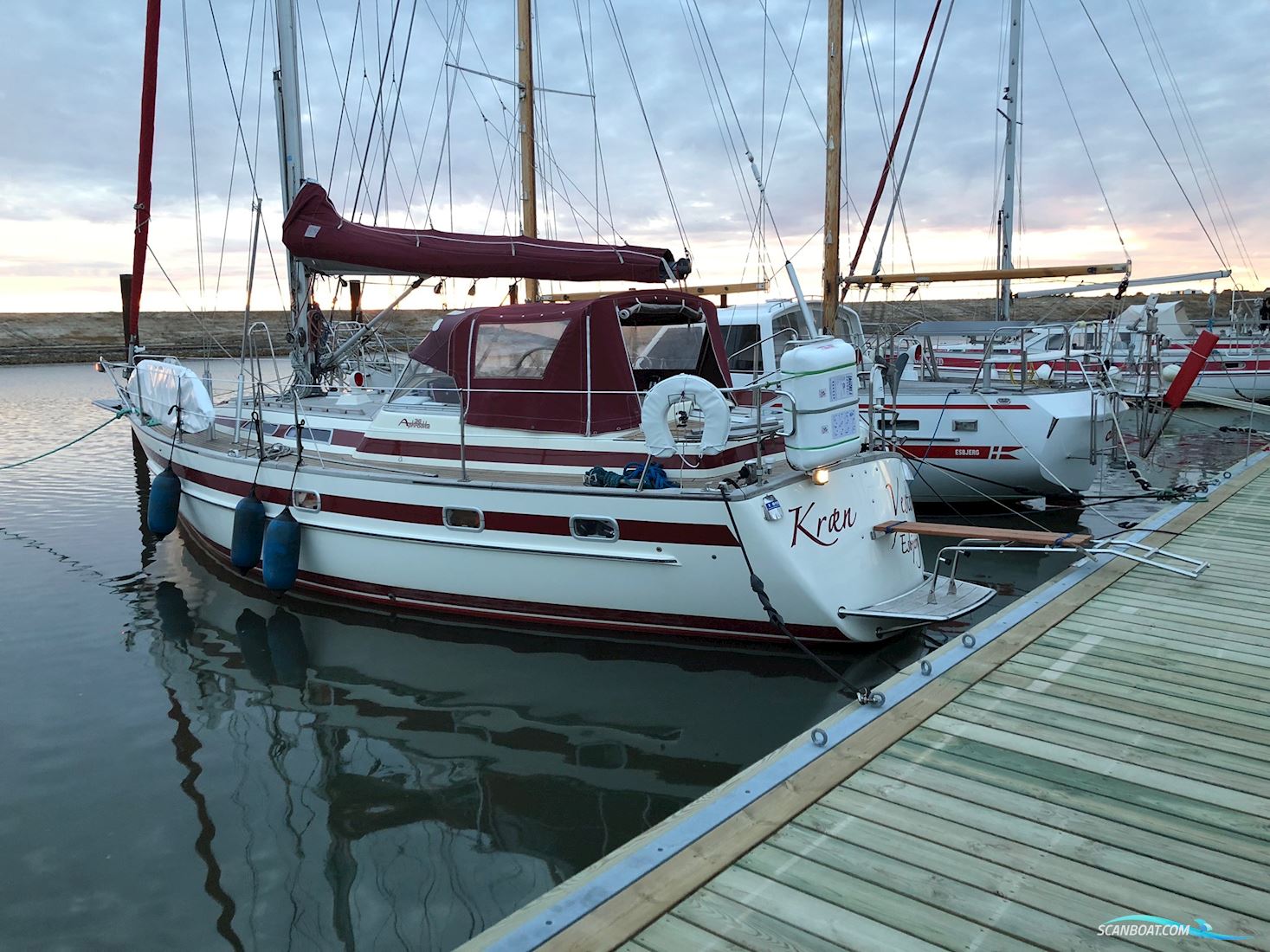Aphrodite 36
