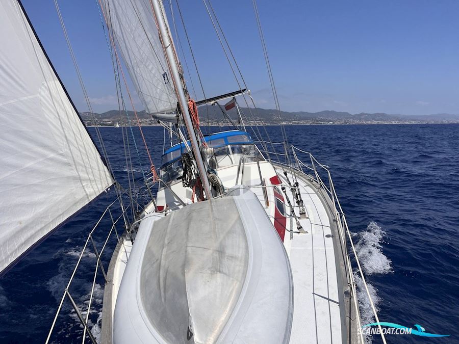 Aphrodite 42