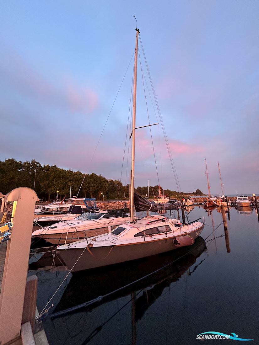 Archambault Surprise