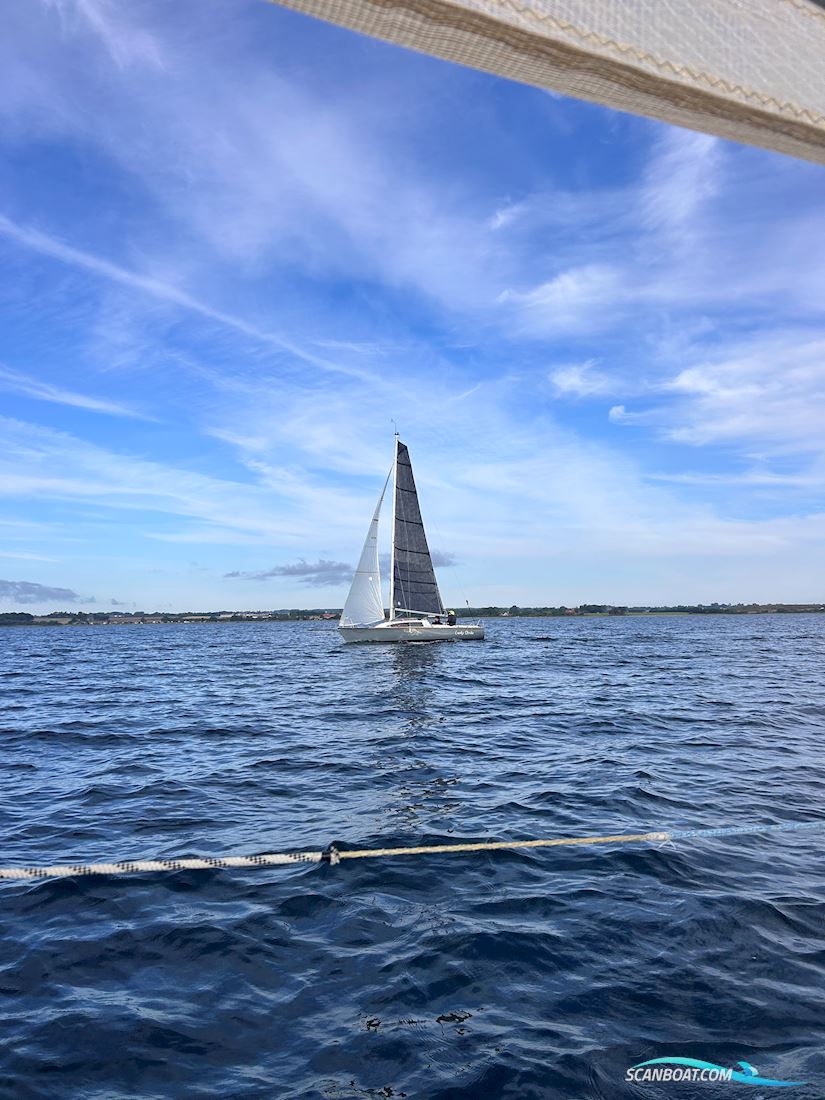 Archambault Surprise