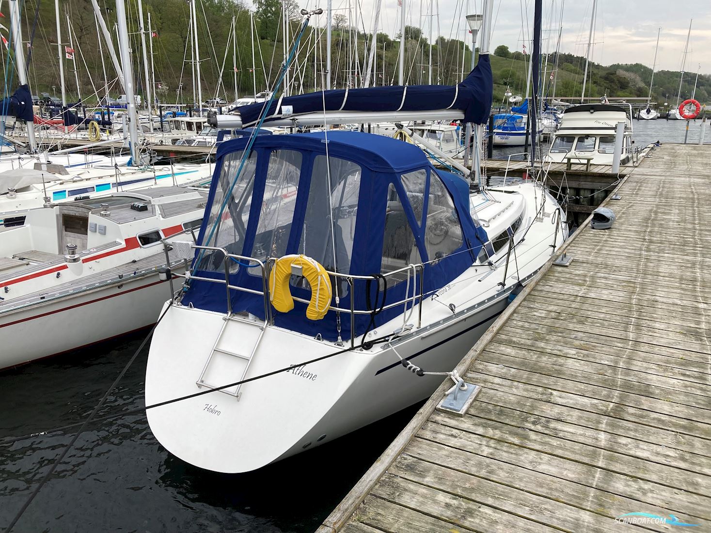 Arcona 36