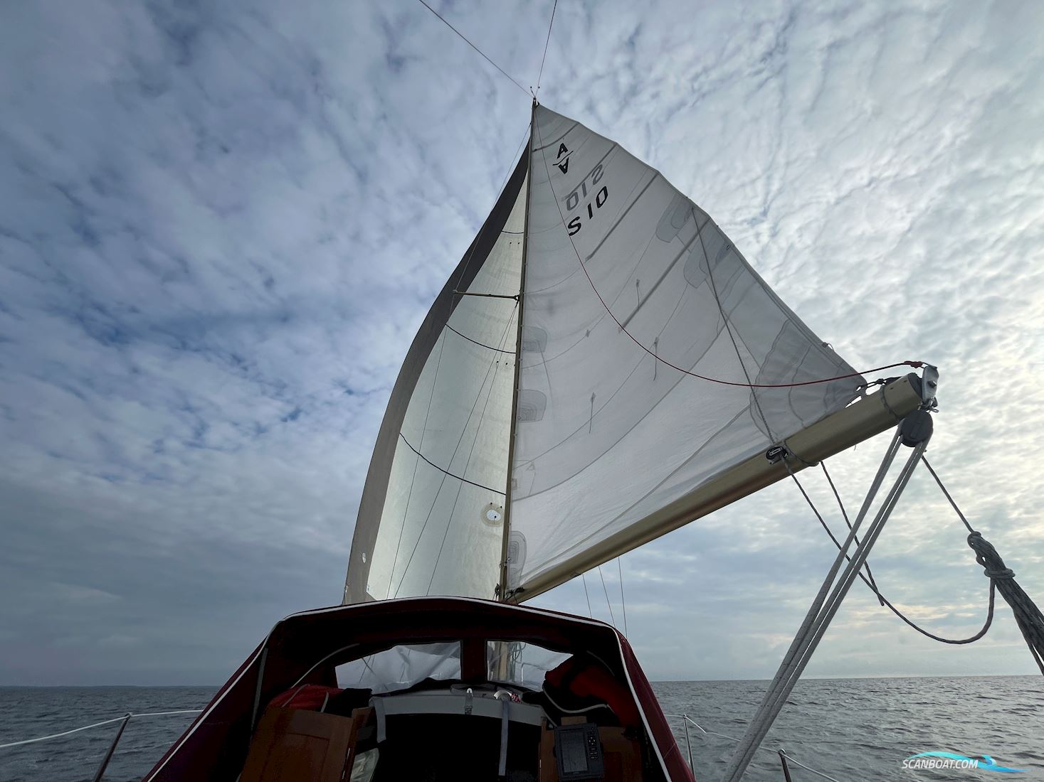 Arietta (OE 31)