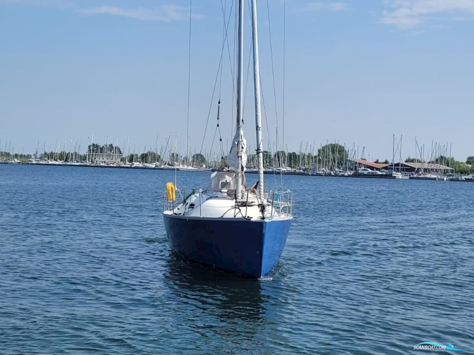 Astraea 295 Sprinter