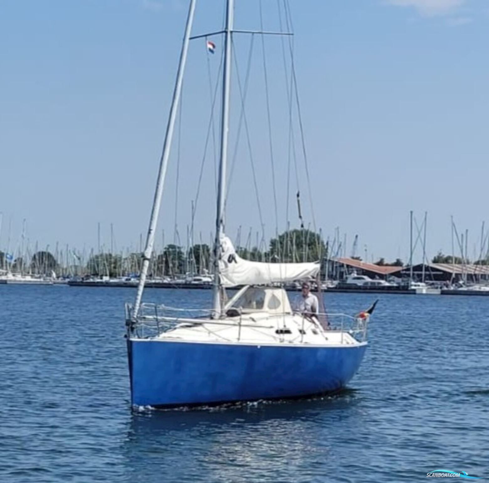 Astraea 295 Sprinter