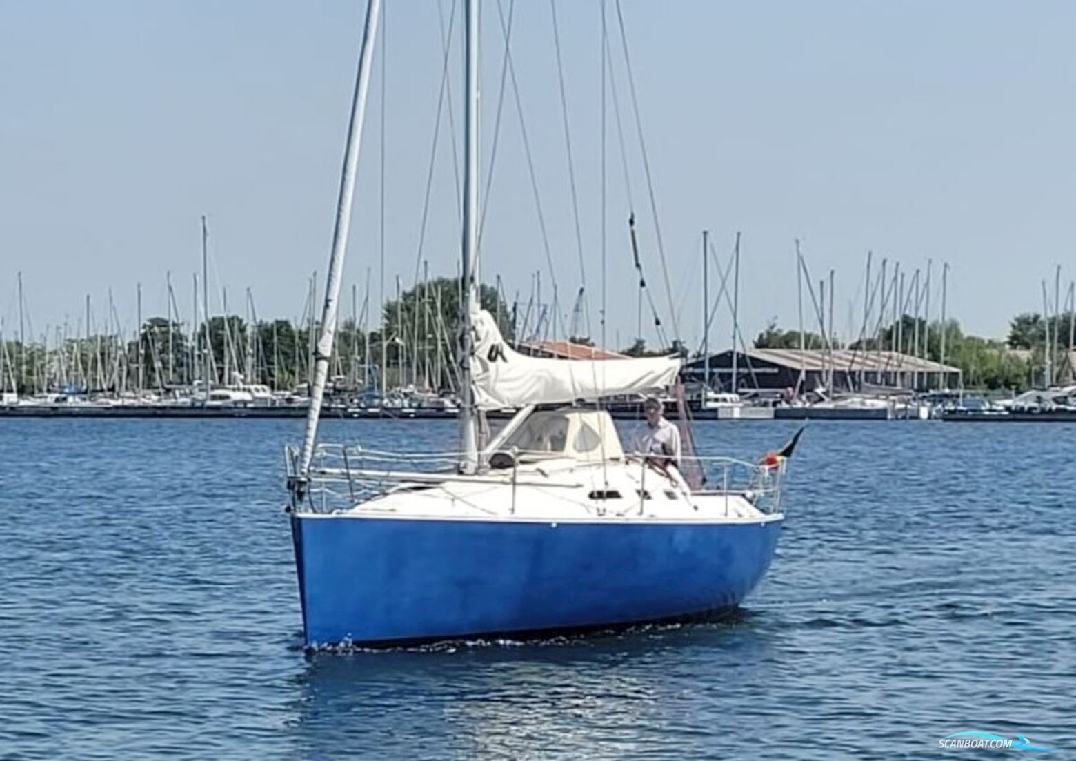 Astraea 295 Sprinter