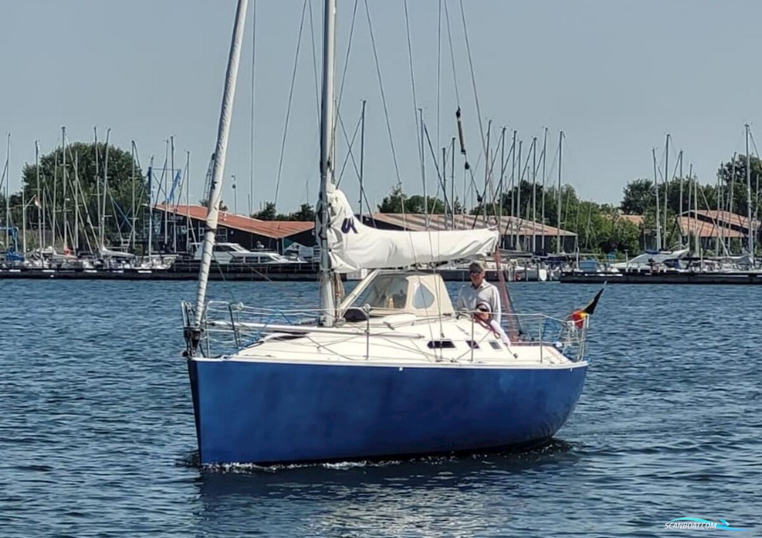 Astraea 295 Sprinter