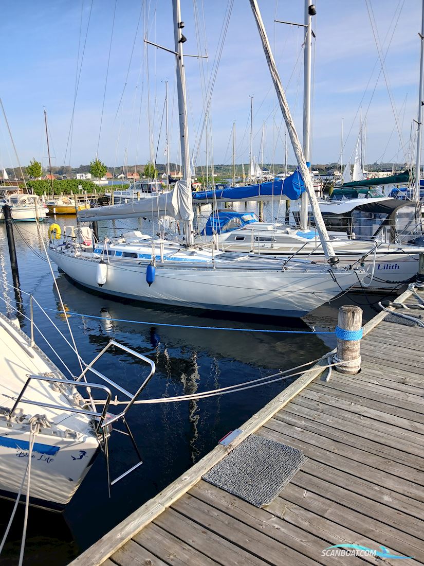 Avance 36 Zeilboten 1979, met Lombardini motor, Denemarken