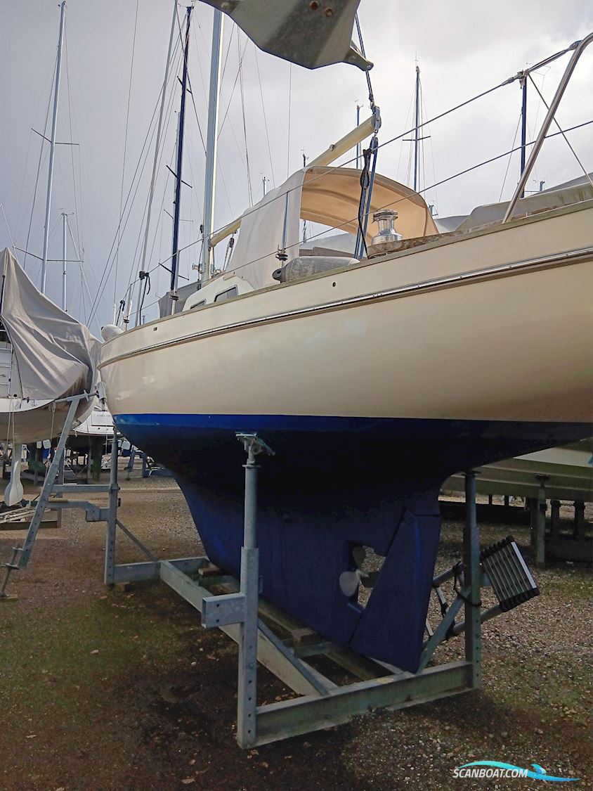 Bacchant IV