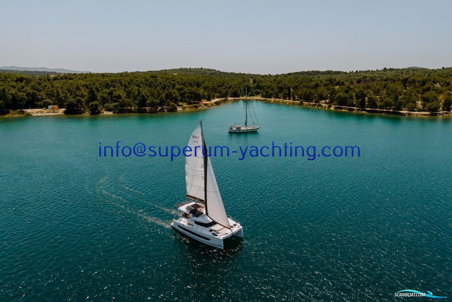Bali Catspace 40